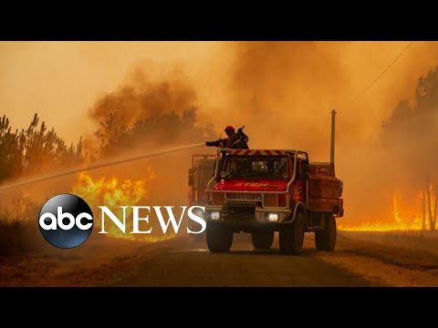 Thousands evacuated as wildfires rage in France