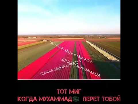 Бизнес цитаты. Тот миг тот час. Все испытывают страх в тот момент когда могут изменить свою судьбу. Есть только миг песня текст. Все испытывают страх в тот миг когда.