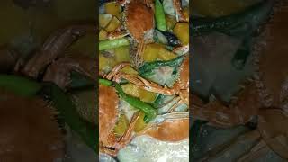 Download Lagu mapapadami na nman ang kain #yutubeshorts MP3