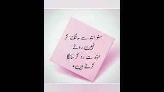 Amazing Collection Quotes In Urdu|Islamic Quotes In Urdu|Urdu Poetry