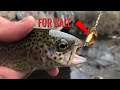 Trout fishing with a custom built lure