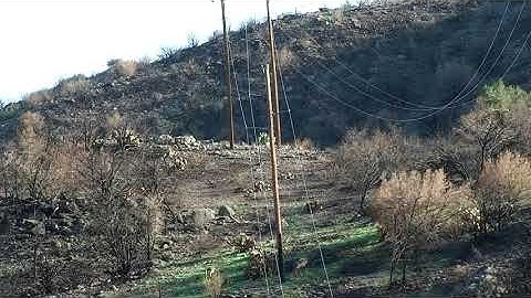 Drone Use for Wildfire Restoration