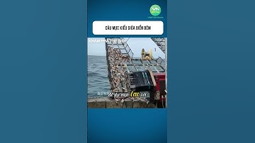 Câu mực kiểu giữa biển đêm #shorts #khamphathegioithuvi