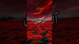 The Beautiful 99 Names of Allah (Must Watch!) 0004 #99namesofallah #islamicshorts #asmaulhusna