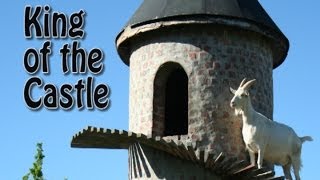 Goat Song - King of the Castle by Animal Songs 19,730 views 10 years ago 1 minute, 30 seconds