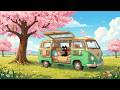 Slow Living In Bloom Calm Lofi Beats For A Peaceful Mood
