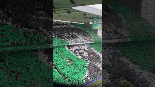 Trophy Day Tifo Celtic Park