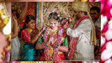 Changing Family / Chapter - 1 Class - 5 EVS / CBSE Hello, Earth!