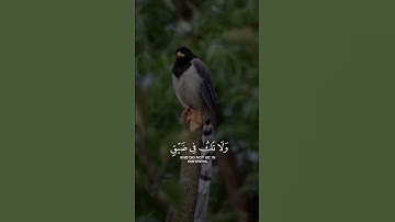 سورة النحل وَاصْبِرْ وَمَا صَبْرُكَ إِلَّا بِاللَّهِ وَلَا تَحْزَنْ عَلَيْهِمْ وَلَا تَكُ فِي ضَيْقٍ