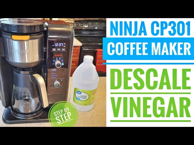 Ninja CP301 Coffee Maker HOW TO DESCALE using Vinegar Hot & Cold Brewed  System 