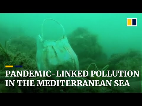 Masks and gloves found in the Mediterranean Sea raise concerns about coronavirus-linked pollution