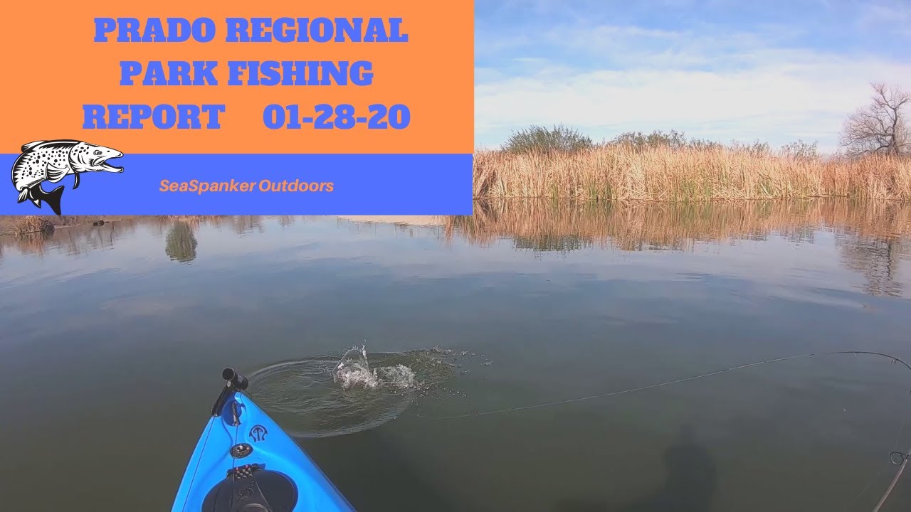 Prado Regional Park Fishing Report 01 28 20 YouTube