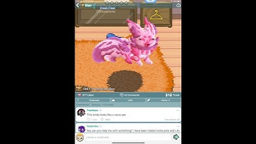 I Love These Petz! Community Petz Showcase #18 - Pixel Petz