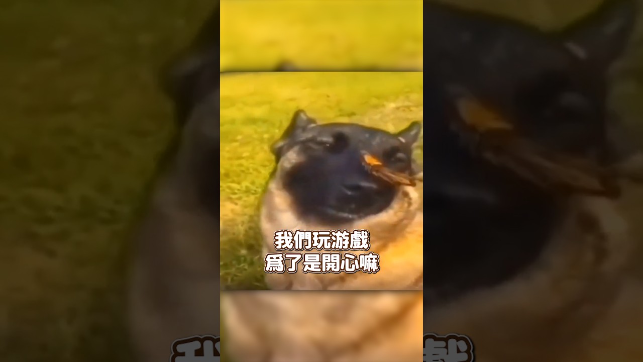 【官方精華】我們玩游戲是爲了開心 #vtuber #中文v | MYViki