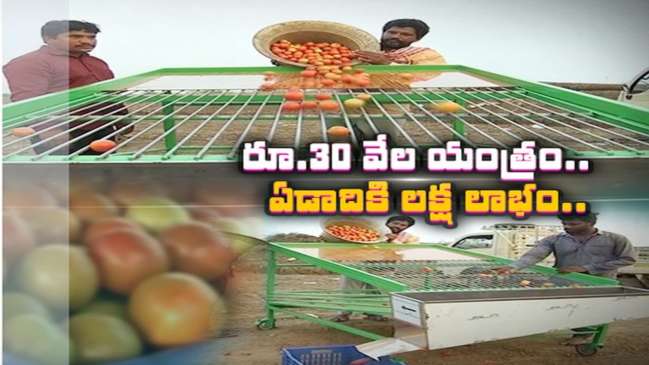 Machine for Tomato Grading | Made by Farmer | Vejendla | టమాటా గ్రేడింగ్ కోసం యంత్రం తయారుచేసిన రైతు