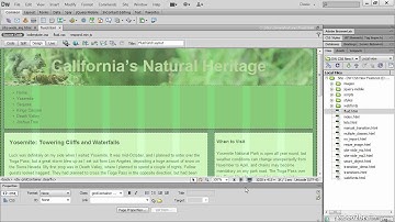 New Feature Overview