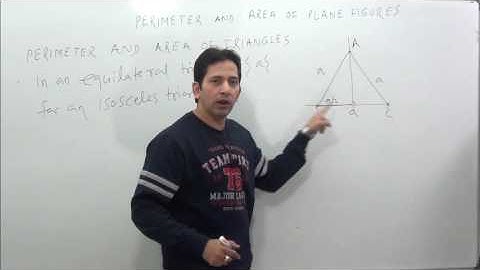 Perimeter & Area Of Plane Figures ( Concept of Triangle )-1 Mensuration
