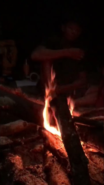 DAMAI DI PEDALAMAN KALIMANTAN BARAT ‼️ KAYU BAKAR API UNGGUN DAN SAUDARA SUKU DAYAK ‼️ 2022 #Shorts