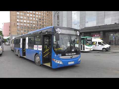 Проверка общественного транспорта