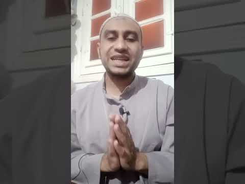ما هي اسباب ظهور الحشرات في البيت وكيفيه التخلص منها