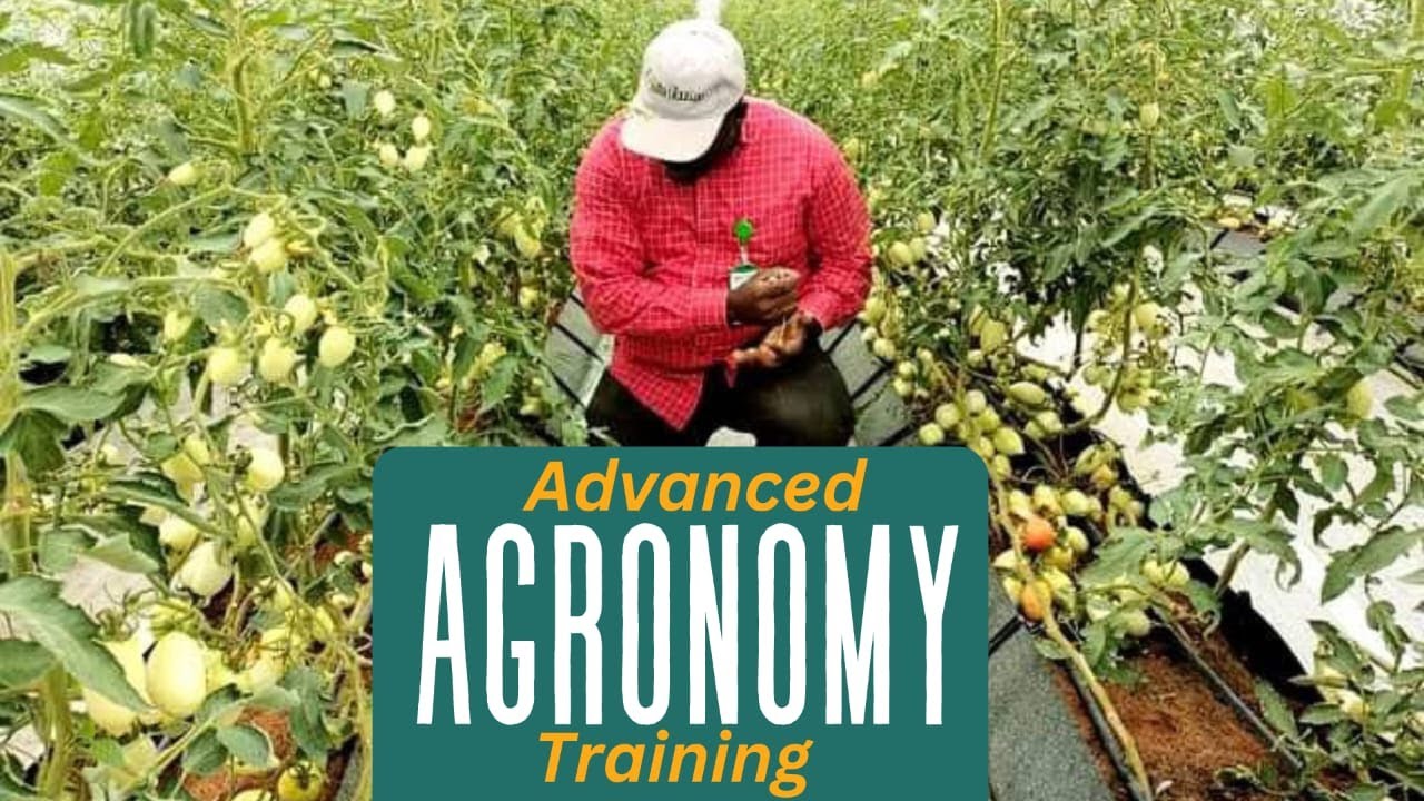 Why attend an Advanced Agronomy Training with BIC Farms Concepts? - YouTube