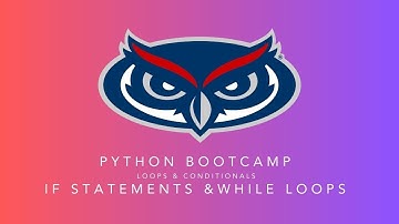 If Statements & While Loops | Module 3 | Python Bootcamp