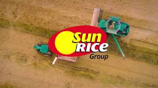 2019 Riverina Rice Harvest