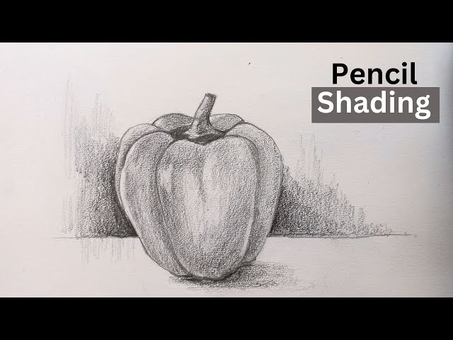 Capsicum Drawing Easy With Pencil