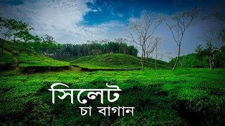 Malnichora Tea Garden, Sylhet || মালনীছড়া চা বাগান, সিলেট || Ep: 01
