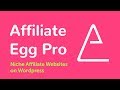 Affiliate Egg Pro Plugin - How it works