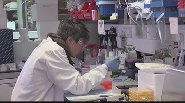 CDC relaxes COVID guidelines