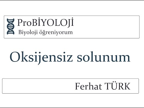 HÜCRESEL SOLUNUM-4 (OKSİJENSİZ SOLUNUM)