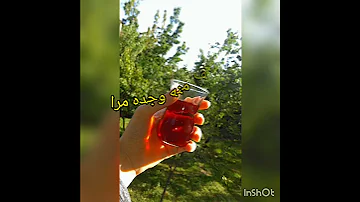 Shorts ارض بما قسمه الله لك تكن اسعد الناس 