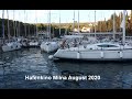 Hafenkino Milna August 2020