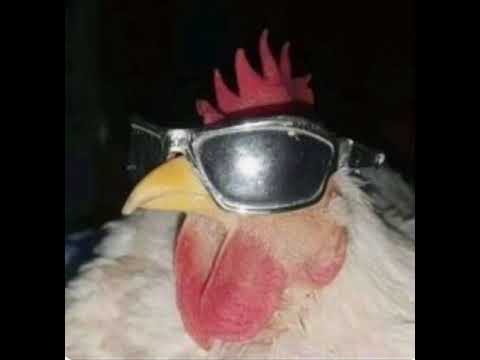 Basshunter DotA Slowed Eco