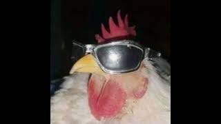 Basshunter - DotA Slowed   Eco