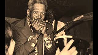 Video thumbnail of "Big Walter Horton-It's Not Easy"