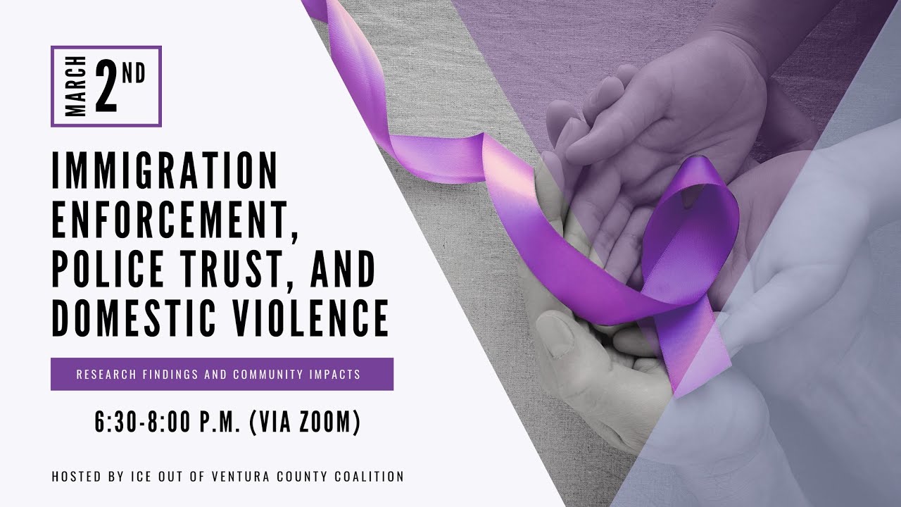Webinar: Immigration Enforcement, Police Trust, and Domestic Violence