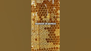 The Ripple Effect: A Powerful 20-Second Message About Life #shorts