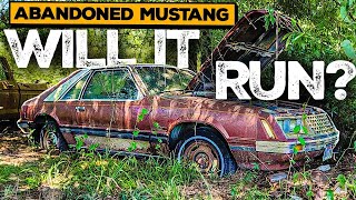 WILL IT RUN? Forgotten Mustang sitting for 32 years!