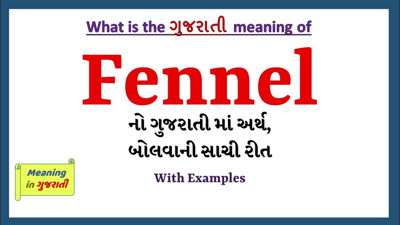 fennel-meaning-in-gujarati-fennel-fennel-in-gujarati