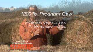 Cow-Calf Corner: How Much Hay to Feed? (11/14/15)