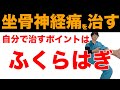 【坐骨神経痛の治し方】坐骨神経痛をふくらはぎで消す方法〜足のしびれにも有効なストレッチ〜