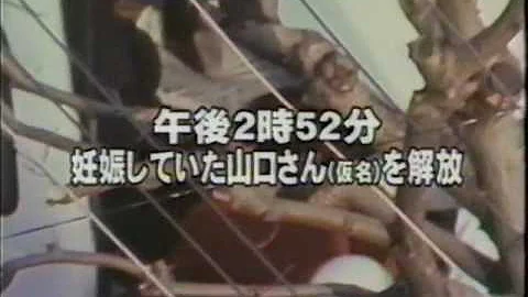 تحميل 三菱銀行人質事件