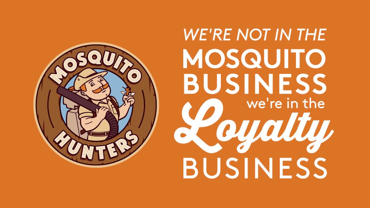 Why You Need Mosquito Hunters For Your Yard YouTube