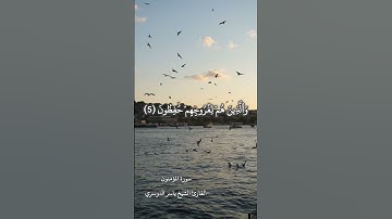 تلاوة من سورة المؤمنون للشيخ ياسر الدوسري #قرآن #القرآن_الكريم #fyp #viralvideo #ياسر_الدوسري#quran