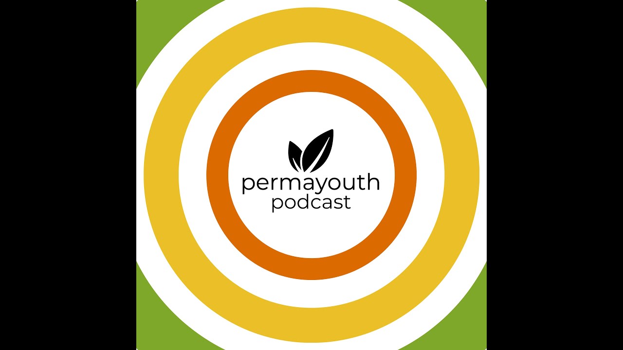 Podcast Episode 3 Stingless Bees with Warren Steyn YouTube