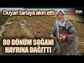 Soğanın Bedavaya Dağıtıldığını Duyan Vatandaşlar Tarlaya Akın Etti