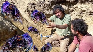 Smoky Amethyst Crystals Found 2 foot UNDERGROUND | Crystal Park Montana
