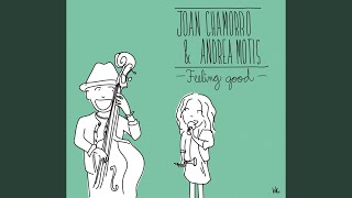 Video thumbnail of "Joan Chamorro - Moon River"